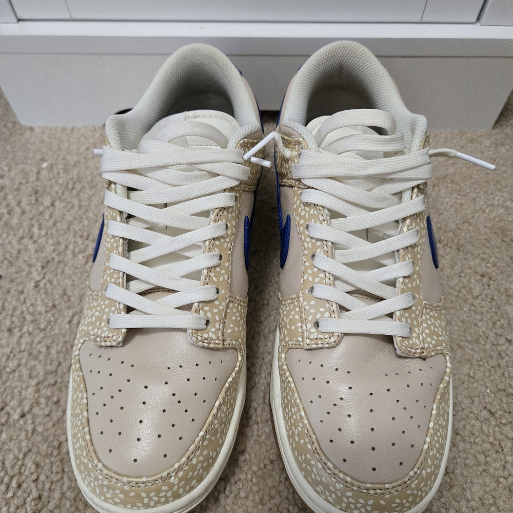 Men's Nike Dunks
